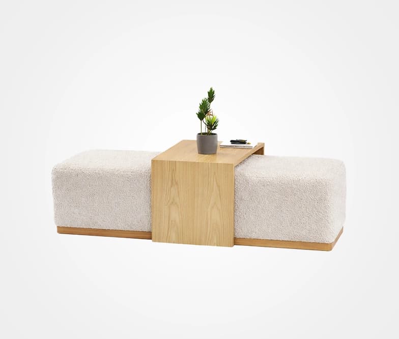 T1-SZ-BN-SCOT-1-IF-FG6876-2-BEI