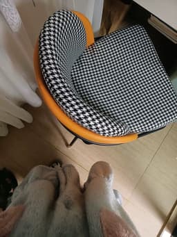 Customer review photo