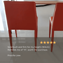 Customer review photo
