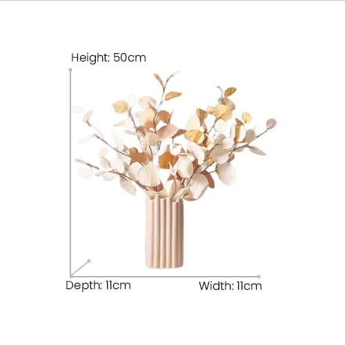 Faiza dimensions